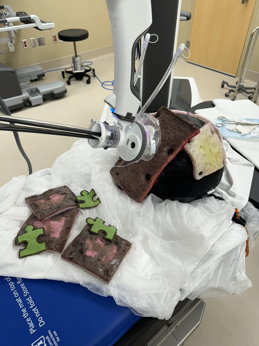 Danny Segal tweet media