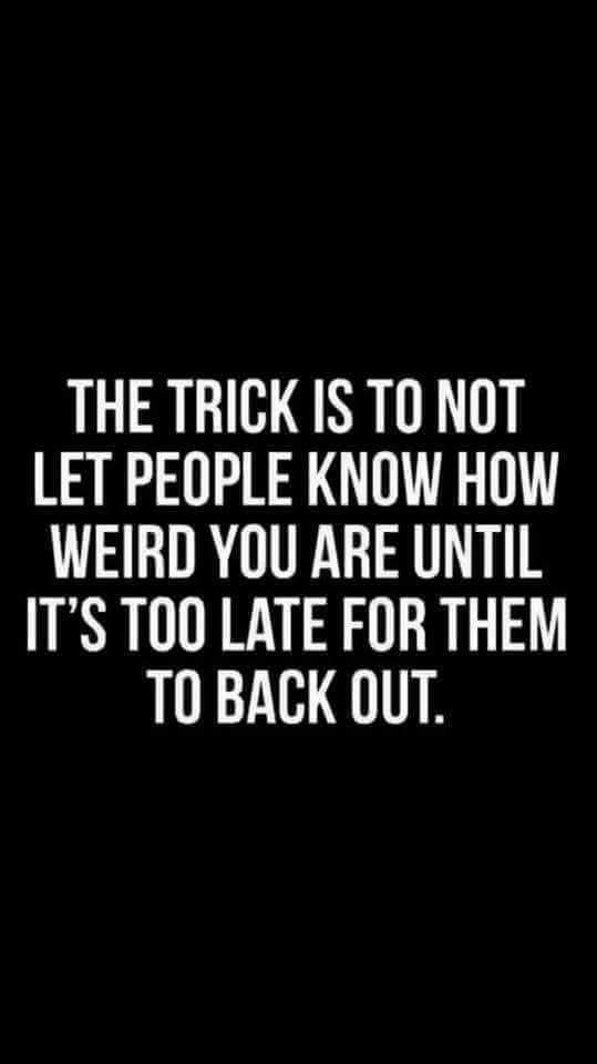 I think I have this one mastered.