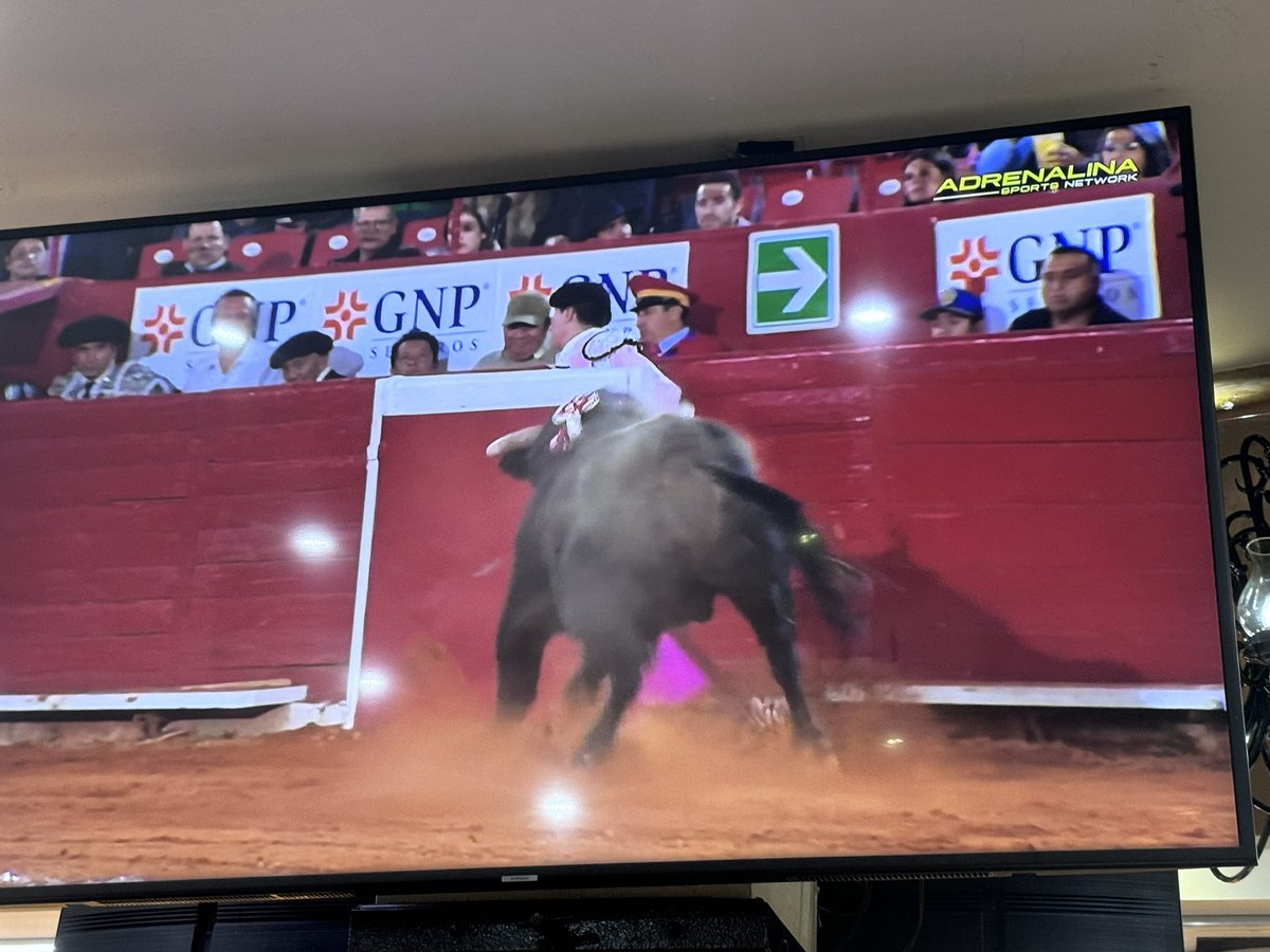 MMraymon's tweet image. Este patrocinio de @GNPSeguros está para cancelarlos. ¡Que vergüenza apoyar a corridas de toros!