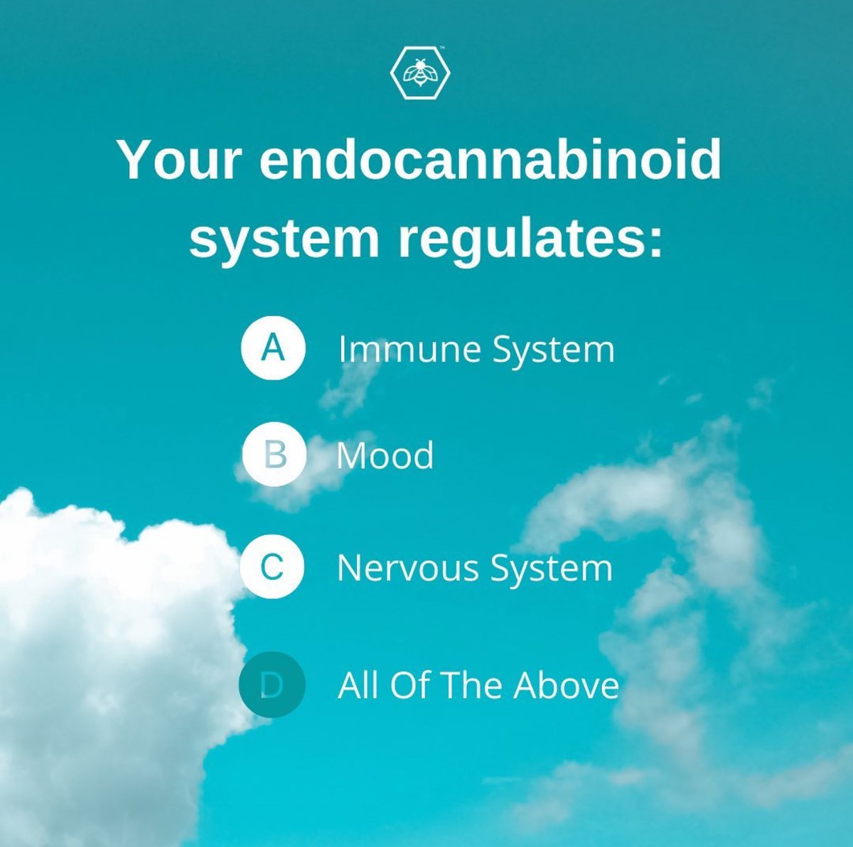 bloombledotcom's tweet image. Thursday Pop Quiz 🤓 Is it A,B,C or D?! #healthquiz #regulates #mood #nervoussystem