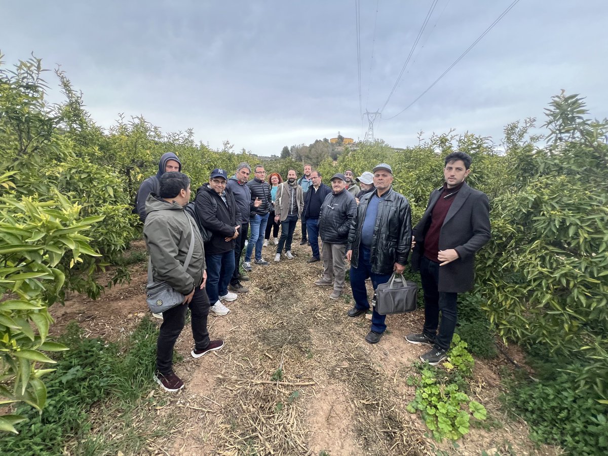 ⁦@REACT4MED⁩ ⁦@PrimaProgram⁩ ⁦@yannishimself⁩ in the field. Valencia meeting. #Mediterranean #land #sustainability #restoration