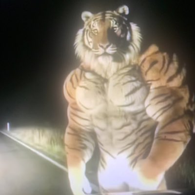 MerlinHummus's tweet photo. #NewProfilePic https://t.co/ODfEL0vD2G