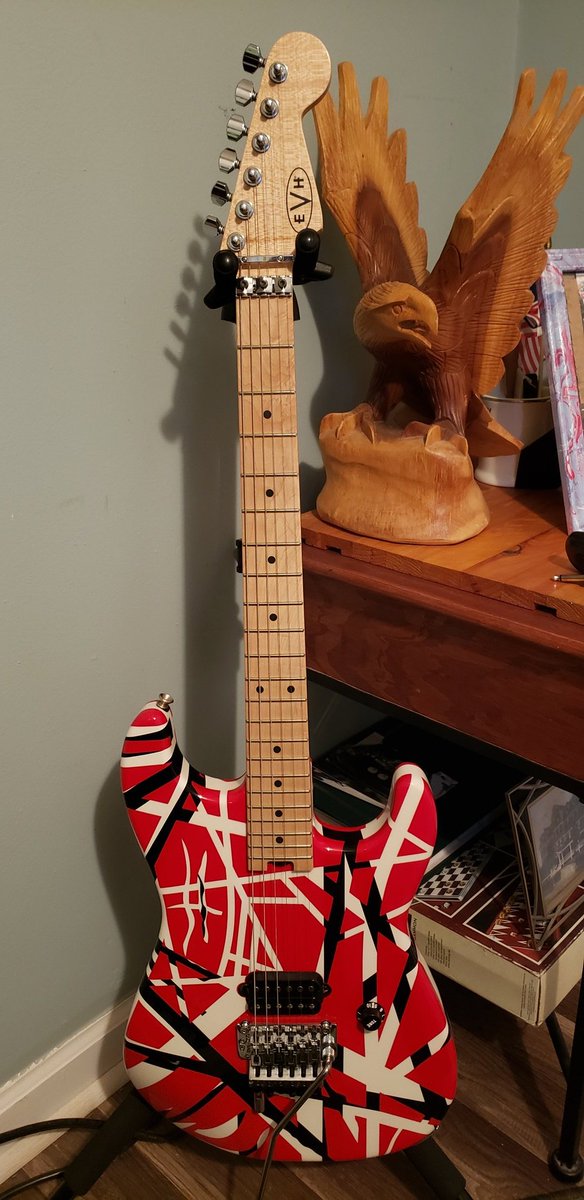 NGD 2014 EVH striped