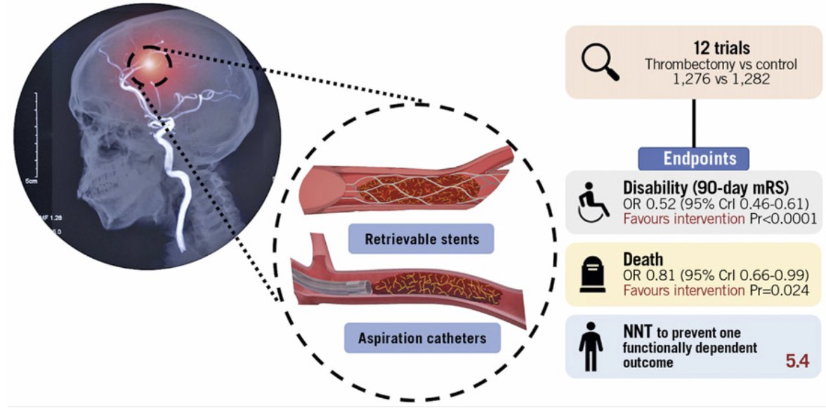 CV Section tweet media