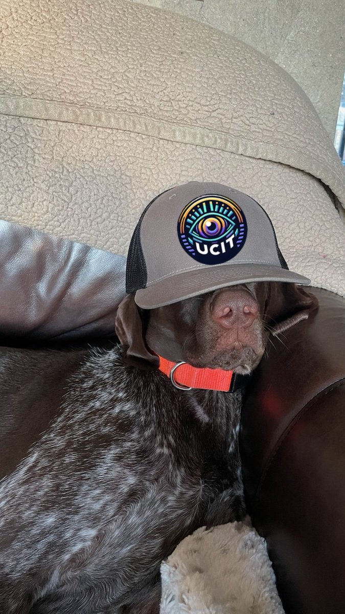 froze_fish's tweet photo. @UCIT_Official @GoingParabolic The new Dogwifhat #ICIT https://t.co/lXqIIhH2h8