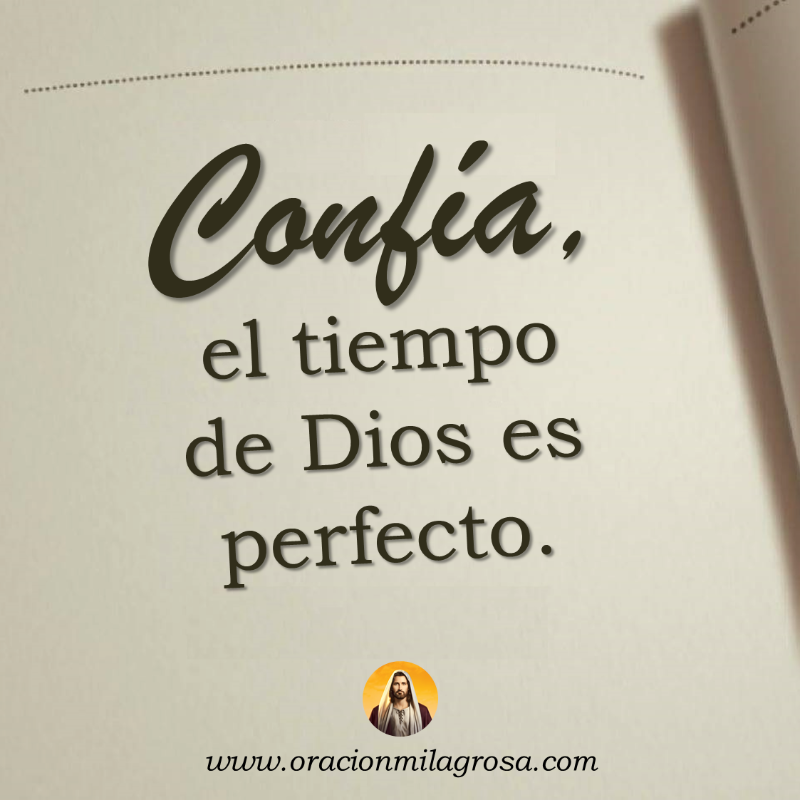 oracion_milagro's tweet photo. Confía en mí y déjame guiar tus pasos. Aunque el camino pueda parecer difícil, sé que ese camino te llevará a un lugar de bendición y plenitud. No desesperes, hijo mío, porque mi tiempo es perfecto.

Continúa en: https://t.co/LHQnKNyrsF
