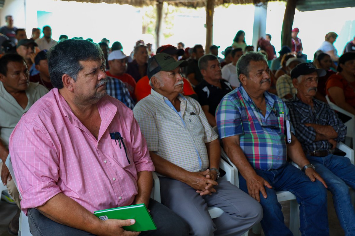 Aníbal Ostoa Ortega tweet media