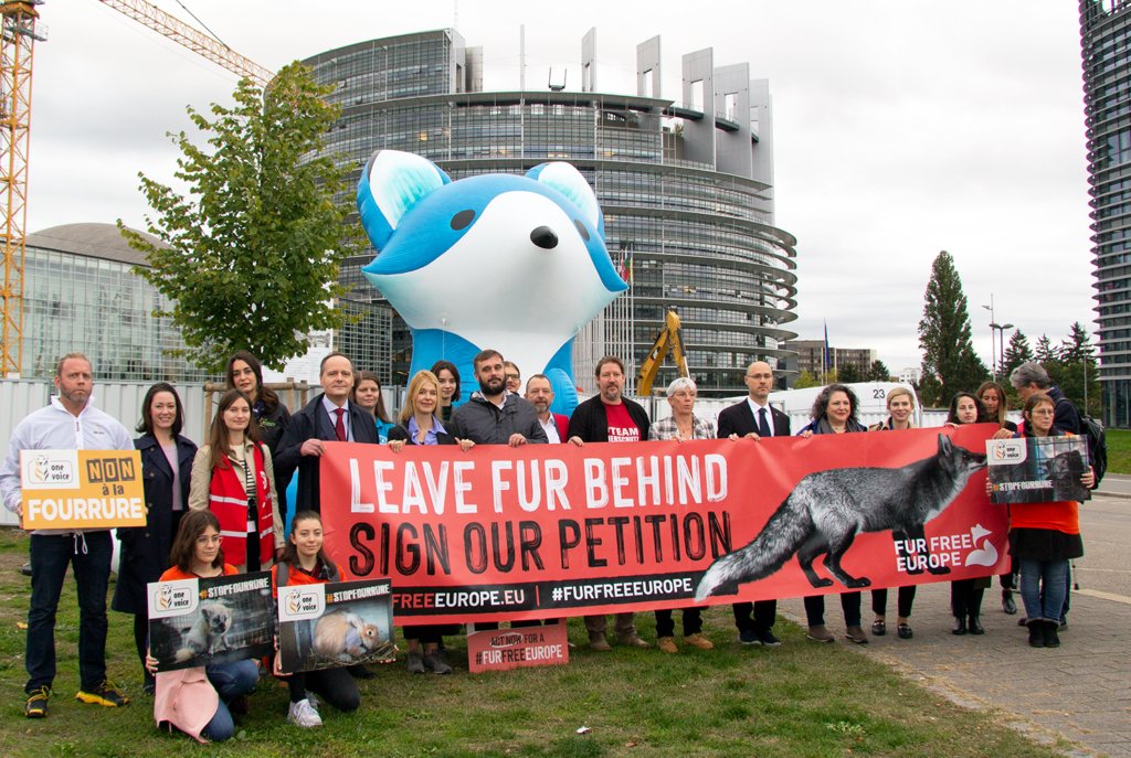 sthill26's tweet photo. Yay!! The ECI campaign got the “EU Commission [to] put forward a proposal to potentially ban fur farming and the sale of farmed fur products within the European market or other alternative solutions on December 7, 2023.” #39canimals https://t.co/1uNua11FMI