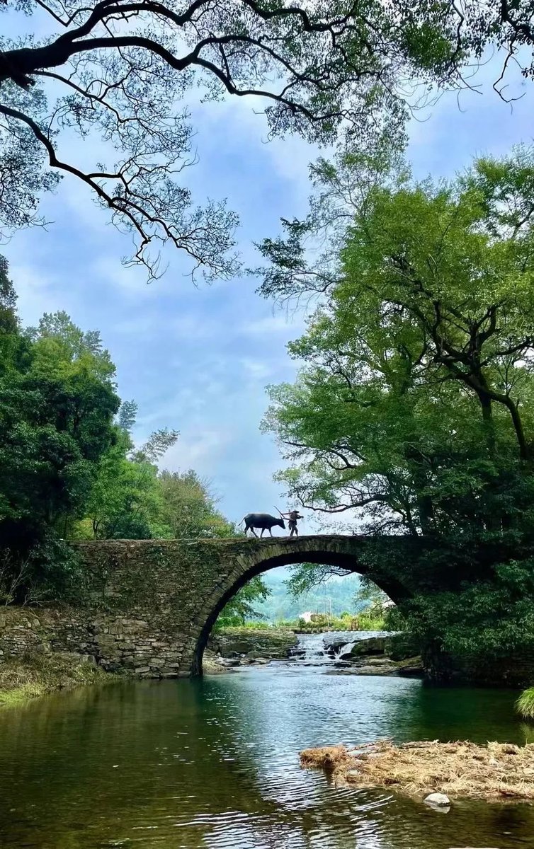 heylucky5's tweet photo. 婺源—金庸笔下的世外桃源！Wuyuan, the Xanadu in Jin Yong's Writing https://t.co/OPNTDjhtBU