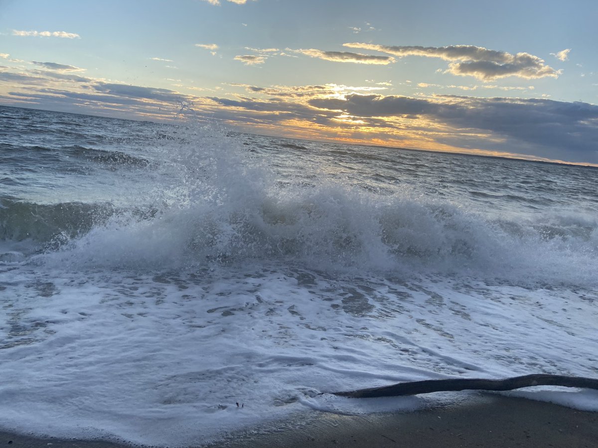 Katniss_Trinity's tweet photo. Went to the beach today and the waves were amazing! Even brought my little friend: https://t.co/4o0BmWvx0P