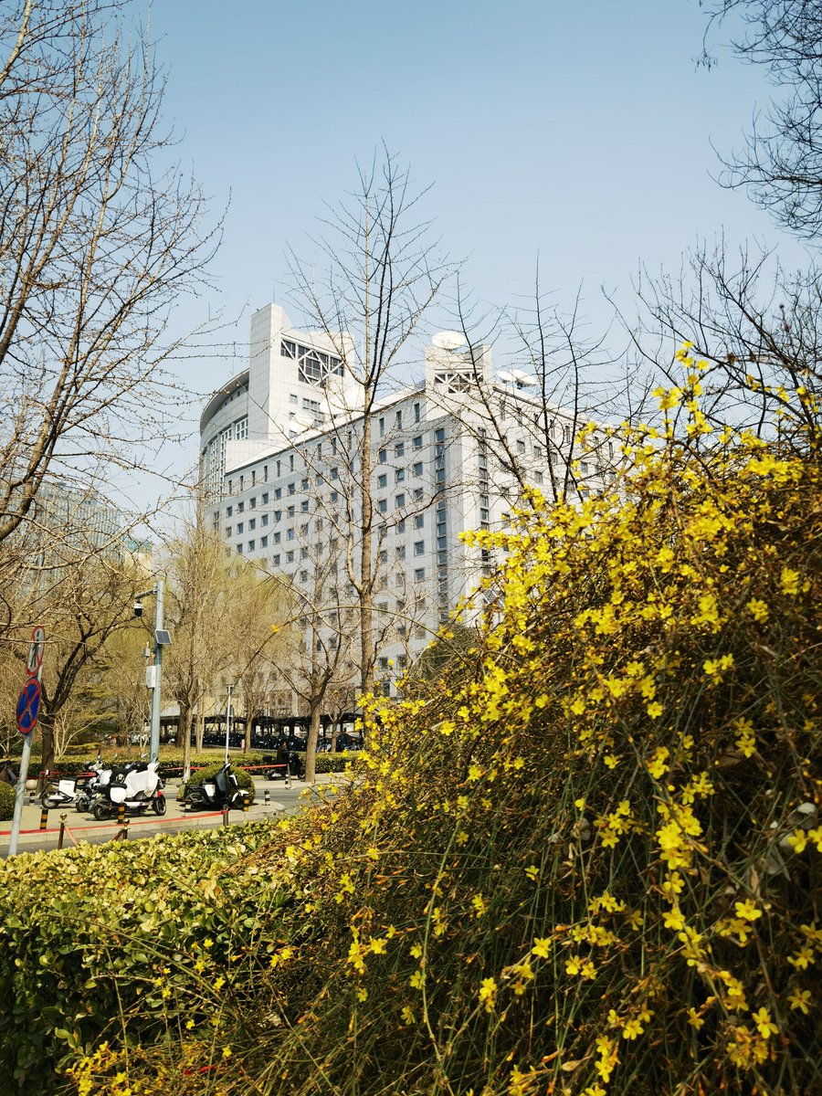 Zhou_Li_CHN's tweet photo. Morning, my friends!
Happy Tuesday!
📸 by ME https://t.co/SWGoijUzAm