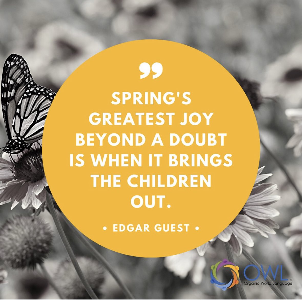 OWLanguage's tweet image. Spring is almost here, how can you bring spring energy into your classroom? #owl #springteaching #iloveowl #owlteachers