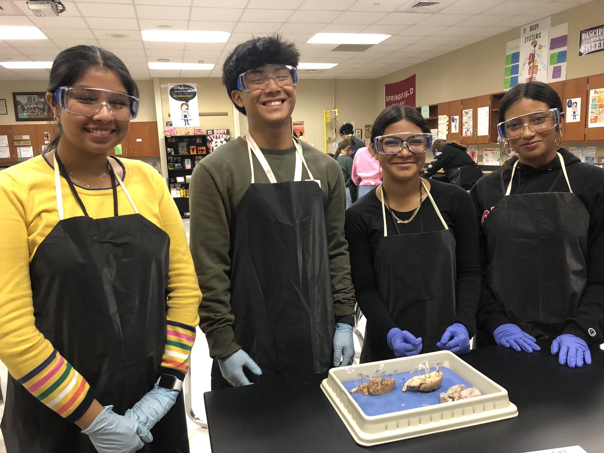 PhsReece's tweet photo. Brain mapping in progress! PHS Anatomy and Physiology Honors’ students create models of neurons and dissect sheep’s’ brains. @condarco_cesar @CTENCISD @PorterSpartans https://t.co/bSsXZDFqxk