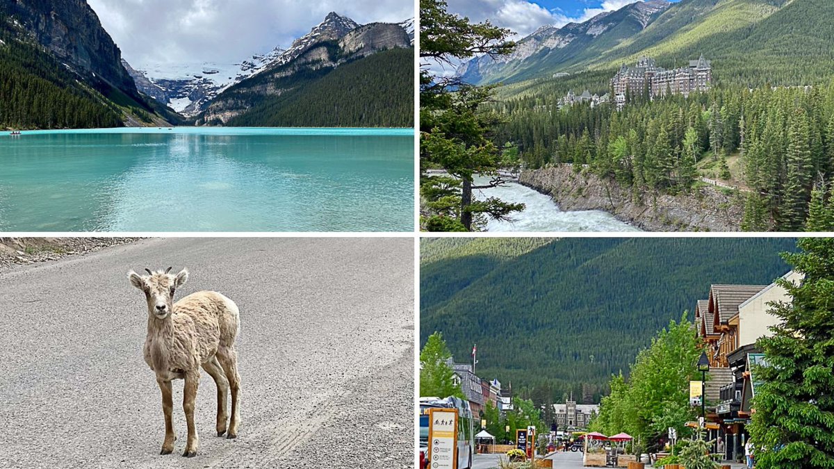 Dreaming of mountain vistas, pine fresh air, distant glaciers, and turquoise lakes? Look no further than Banff National Park! This travel guide has everything you need to plan your Canadian Rockies adventure bit.ly/3RWc8BB via @sheriannekay #MyBanff #ParksCanada