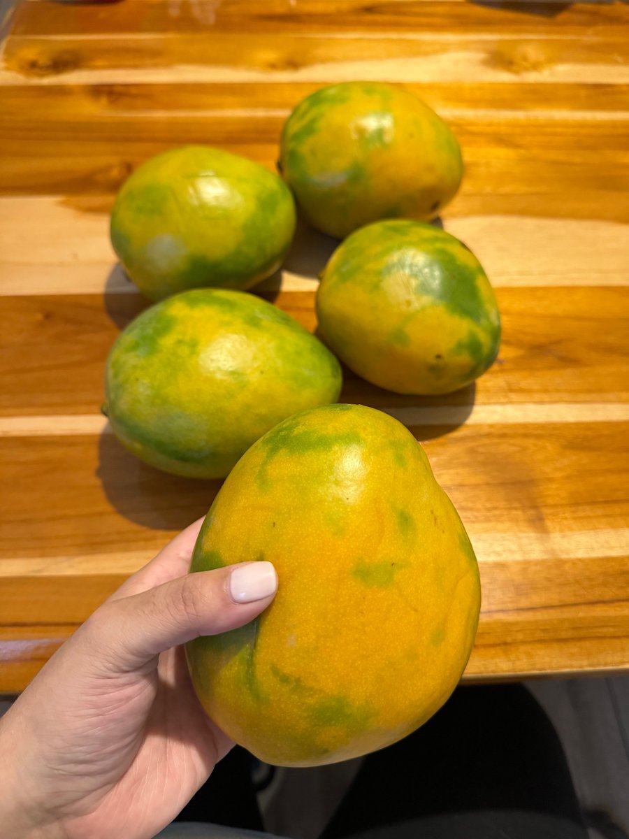 sofidlm's tweet photo. Yo: tengo antojo de mango

Mi papá:

🥹🫶🏼 https://t.co/gGEVQakob7