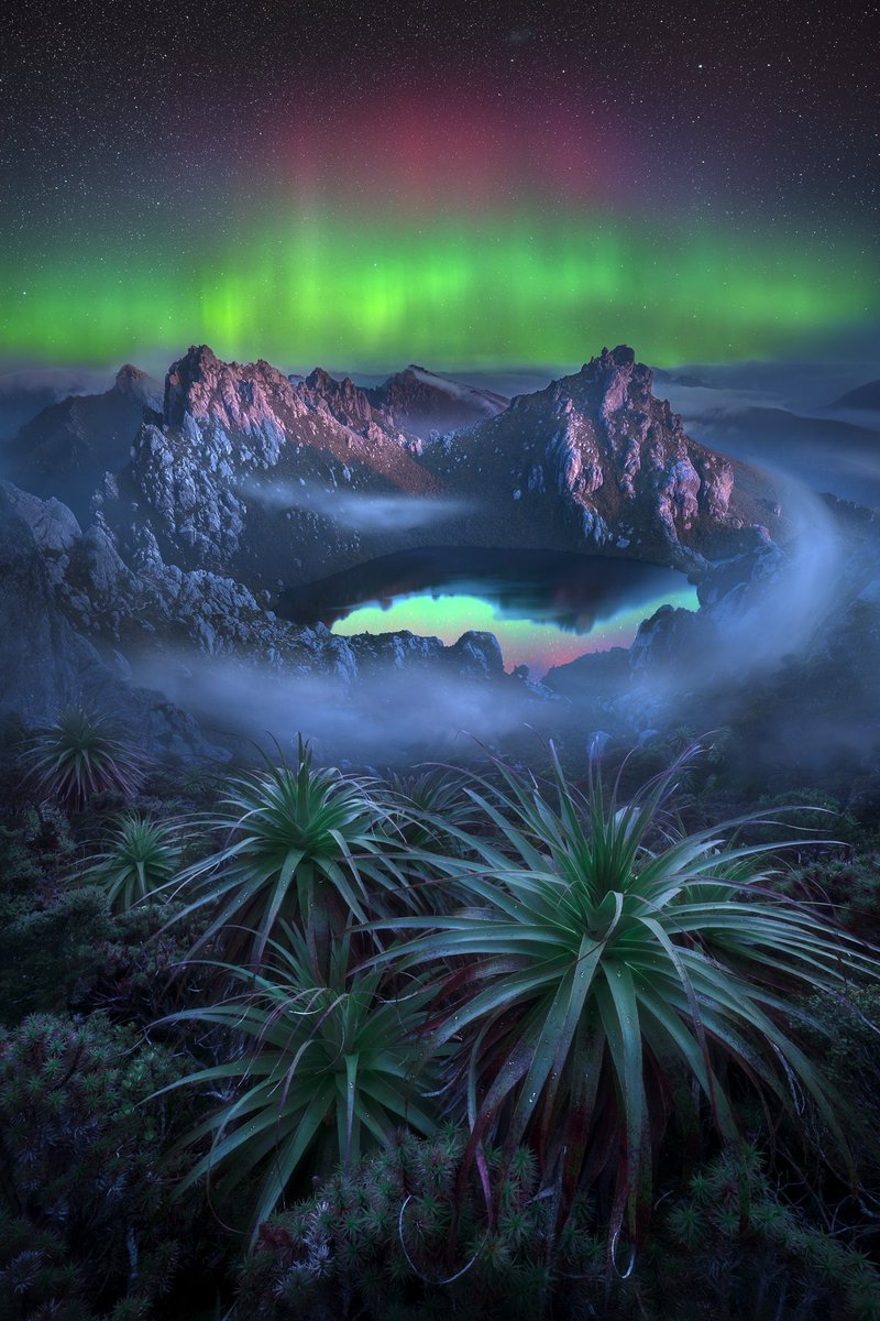 cathsimard_'s tweet photo. “Past Resonance”, part of the Blue Hour Adventures drop, is a composite created during my last trip in Tasmania, Australia. 

Back to the year of 2015, I worked as a cherry picker in Tasmania. Photography had not yet found me, but amidst the orchards, I felt the slow rekindling of my appreciation for being outside. My curiosity for the mountains was also undeniable, though my confidence wavered when contemplating embarking on extensive hikes to explore them.

Several seasons later, whispers reached me of a secluded Tasmanian lake, a haven that demanded days of arduous trekking to unlock its hidden beauty. This revelation stirred a recognition within me— a knowing that this location would serve as the perfect opportunity to reconnect with a cherished place, equipped now with a new skill set and my camera.

Fast-forward to 2023, a pivotal moment where I resolved to breathe life into this dream and fly to Tasmania.  Over the course of eight days, I trekked the landscape solo and in complete self-sufficiency to reach the remote lake where I had envisioned to create a specific composite. During my quest for perfectly clear skies, I encountered constant rain storms, keeping me stuck inside my tent for a few days. However, towards the end of the trip, the sky cleared up and I was finally able to capture the images of the foreground that I was hoping for. The aurora, however, didn’t show up during the trek and was photographed a week later, after many sleepless nights of driving across the state.

This journey, both mentally and physically demanding, triggered profound self-reflection, teaching me invaluable life lessons. These lessons and reflections, in turn, became the source of inspiration for my inaugural children's book, a tale born of this voyage and titled ‘’Blue Hour Adventure: Australia!’’

Past Resonance honors my inner child – bold, curious, creative, perseverant and loving of nature.