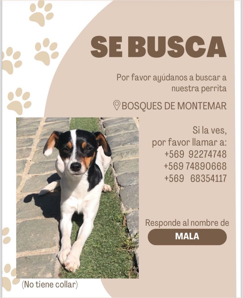 A la hija de mi amiga se le perdió su perrita, porfa <a href="/DeConCon/">Concón Chile🌞🌊🏄‍♂️🍴</a> <a href="/CEValparaiso/">Com.Emergencias.Valp</a> <a href="/verosalaberry/">Vero</a> dar #RT