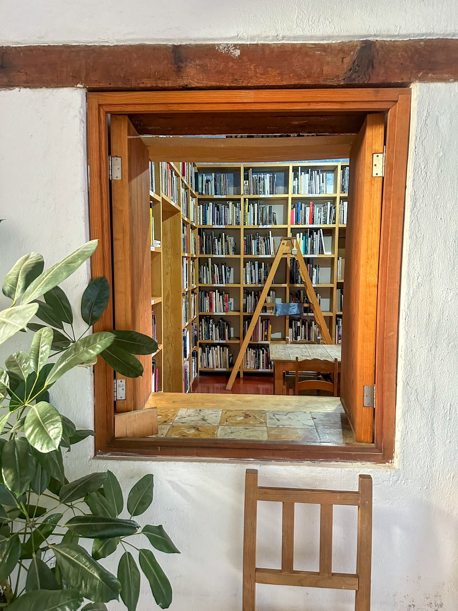 Cardo_SF's tweet photo. Oaxaca City did not disappoint.

#Oaxaca #OAX https://t.co/fHJyV8Dskw