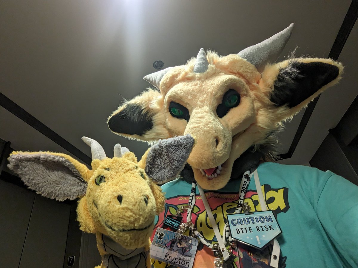 KryptonSvingar's tweet photo. @lichendeer Kal, @RenniFox #TFF2024 https://t.co/LVfWKECnpU