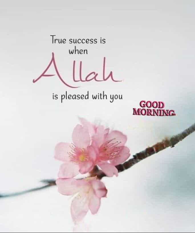 السلام علیکم ورحمتہ اللہ وبرکاتہ صبح بخیر سلامت شاد و آباد رہیں ہمیشہ سب دوست ❤️🌹