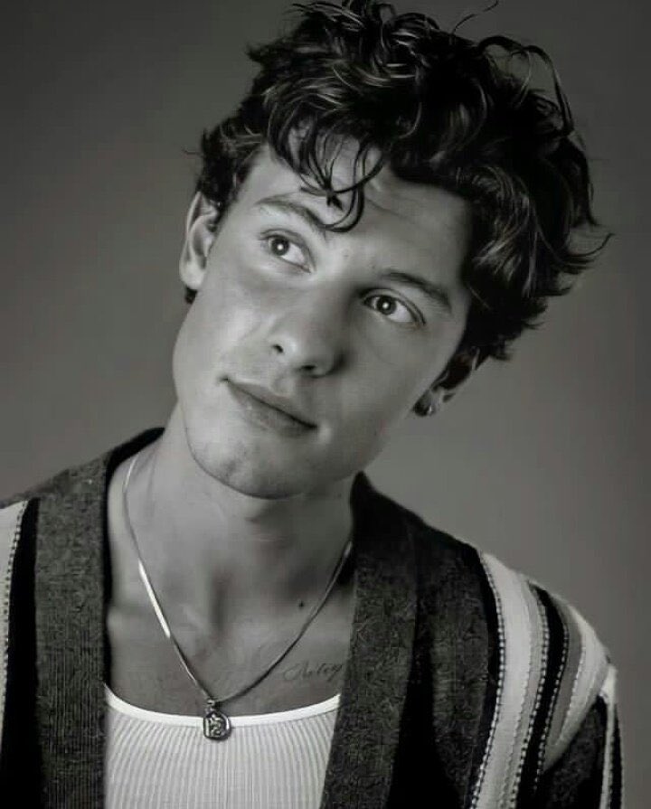 Shawn Mendes Fans (@ShawnMendesFans) on Twitter photo 2024-03-19 00:26:47