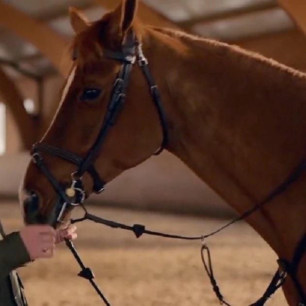 I hope he got his happy ending too x