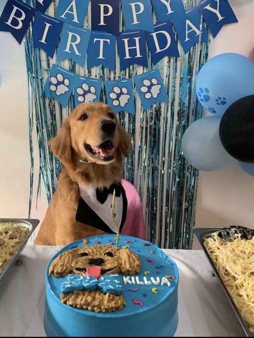 PEOPLE WILL REMEMBER YOU AS A DOG KILLER ANTHONY SOLARES. YOU DESERVE TO ROT IN JAIL. #JusticeForKillua

credits sa owner ng photos.