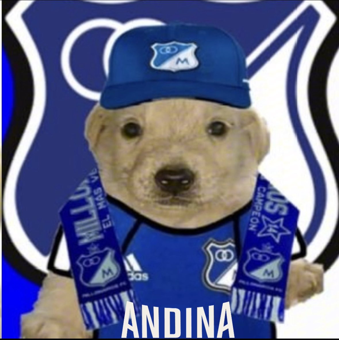 CervezaAndinaCo's tweet photo. Grupo E - Libertadores🏆

Descripción gráfica para entendidos😎

Me vuelo loco por ti Millos💙⚽️ https://t.co/j3wPVeU3Fw