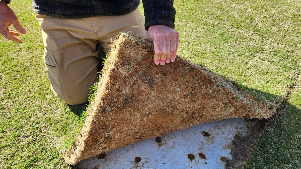Becky Bowling, PhD (@tnturfwoman) on Twitter photo Always love a good sod farm visit. Thanks to Doug Estes with <a href="/winsteadturf/">Doug Estes</a> for showing me around and letting me take these cool photos of #Tahoma31 on the <a href="/WinsteadMatrix/">Winstead Turf Matrix</a> system! Always love a good sod farm visit. Thanks to Doug Estes with <a href="/winsteadturf/">Doug Estes</a> for showing me around and letting me take these cool photos of #Tahoma31 on the <a href="/WinsteadMatrix/">Winstead Turf Matrix</a> system!