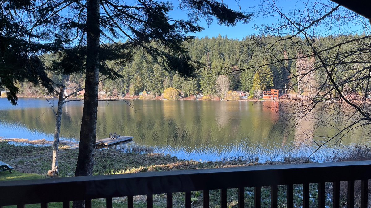 nullterm tweet media