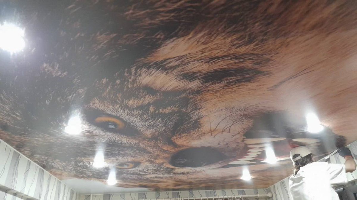 Radi0_activist's tweet image. Прости, но это лучшее, что ты сегодня видел