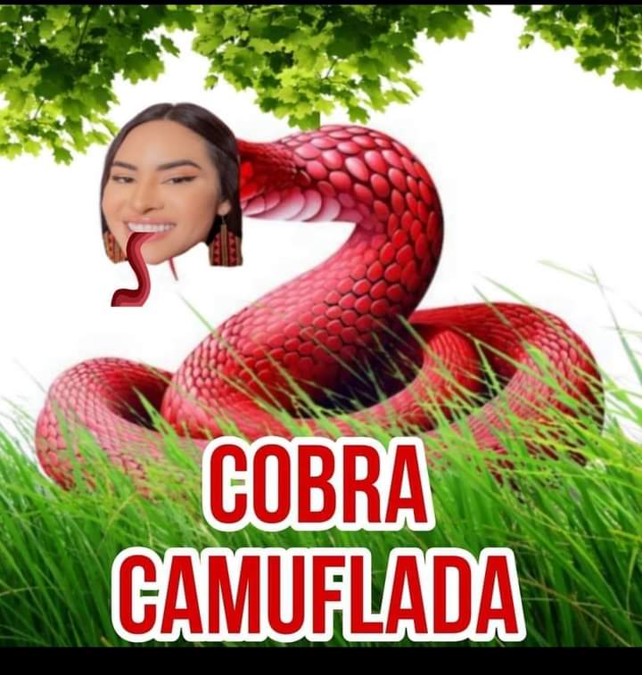 andinhalingard's tweet photo. @_reclamona_ Essa ai não me desce mais https://t.co/LoZwnoLQ2n