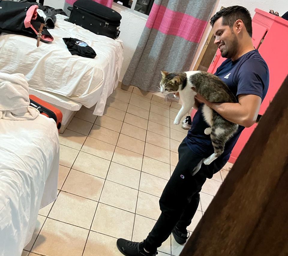 Taco_of_Yuca's tweet photo. Acabo de volver al cuarto del hotel (me on vacaciones) y LIT mi amigo ebrio y feliz se agarro un gato de la calle y lo metio 😩😩😩 https://t.co/VoWEtS9mDt