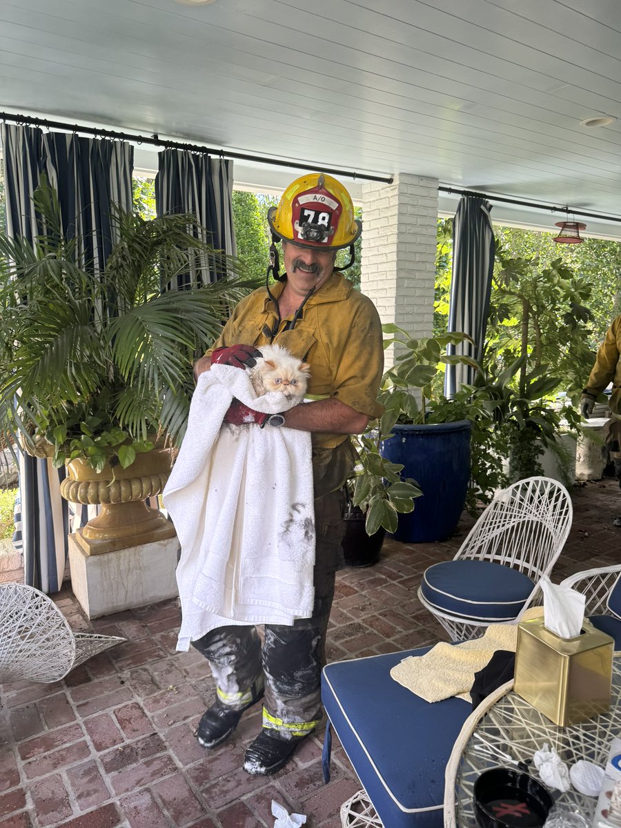 We want to thank #CaraDelevingne for the kind words she offered. We were so happy to find the beloved felines were okay!

While no two emergencies are exactly the same, we encourage everyone to include your pets in an emergency plan to give them the best chance. For tips, visit