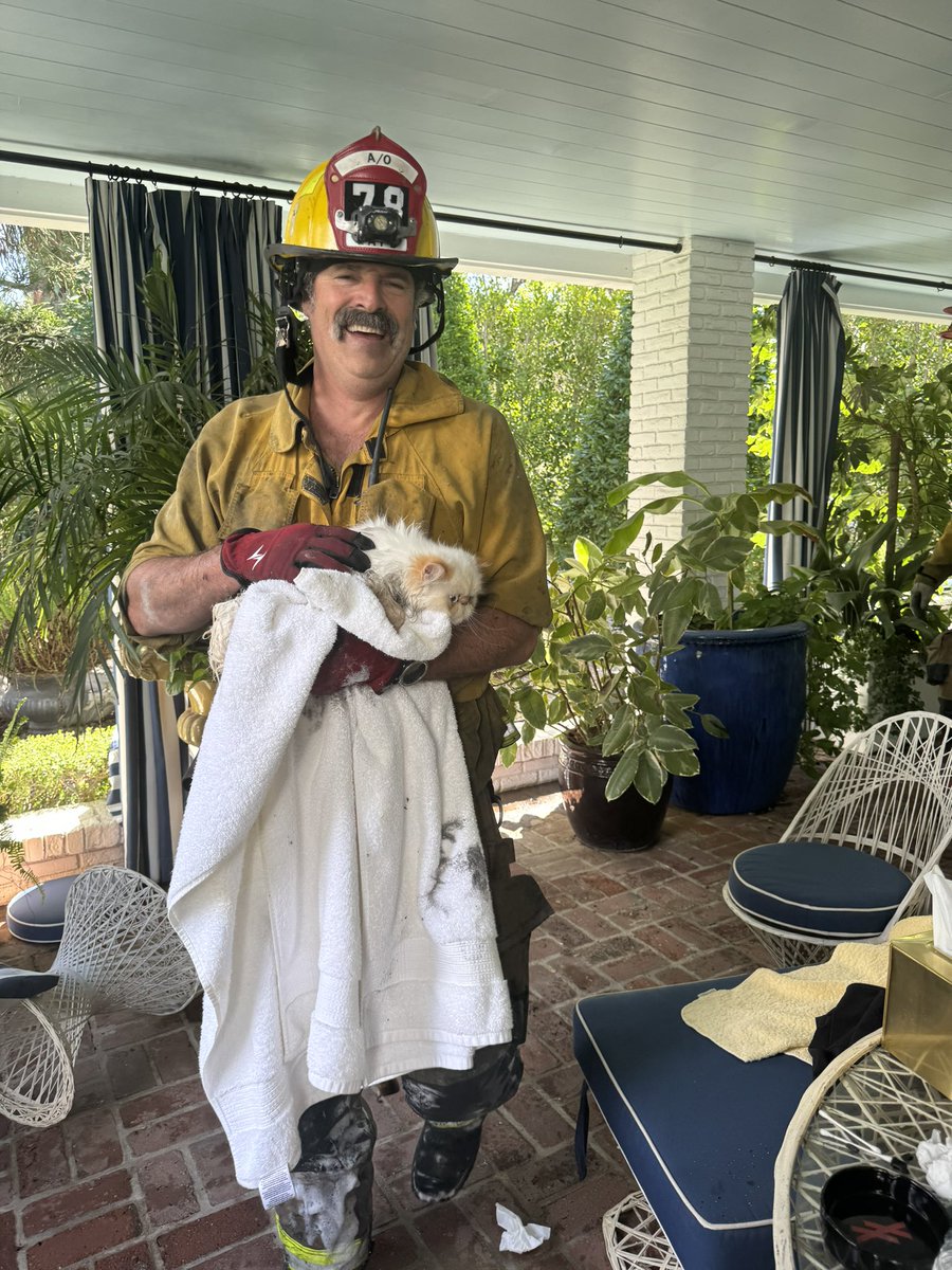 #LAFD Talk 💬 tweet media