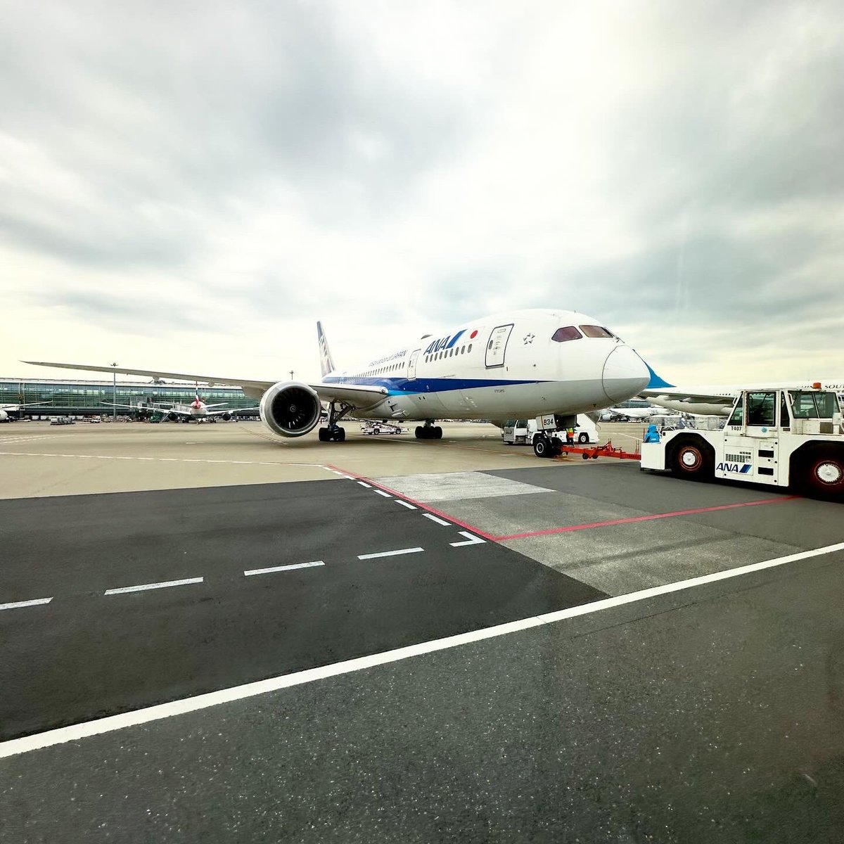 tomiyamawataru's tweet photo. off to GUANGZHOU
東京寒い🥶先週末の暖かさを求めて…青組で✈️
#offtochina #offtoguangzhou #ana #hanedaairport #staralliance https://t.co/dNNrHqFPpJ