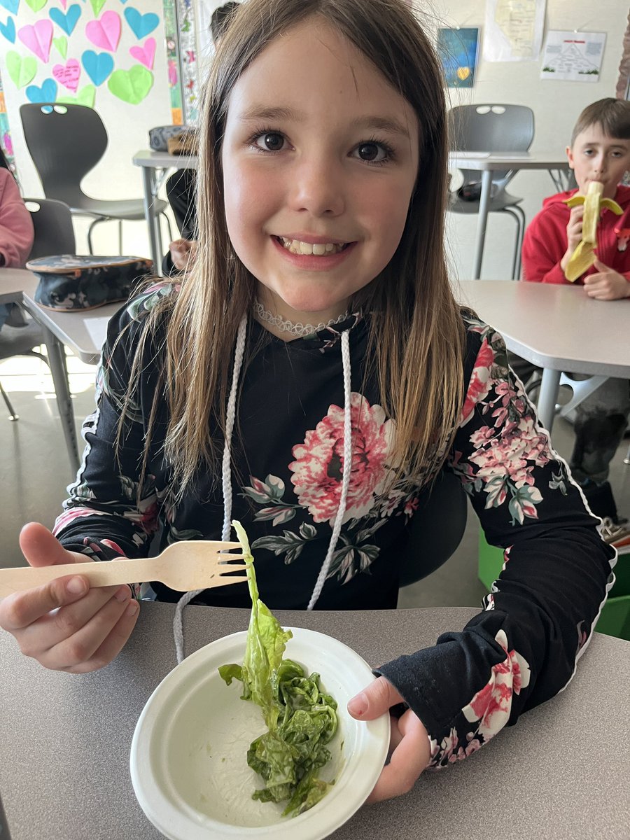 Eating greens (that we grew ourselves) on Green Day! Lots of kids ate their first salad today. 💚🥬🥗Thank you, @MissWoitas for making Science taste so good! <a href="/IRIC_WC/">IRIC</a>