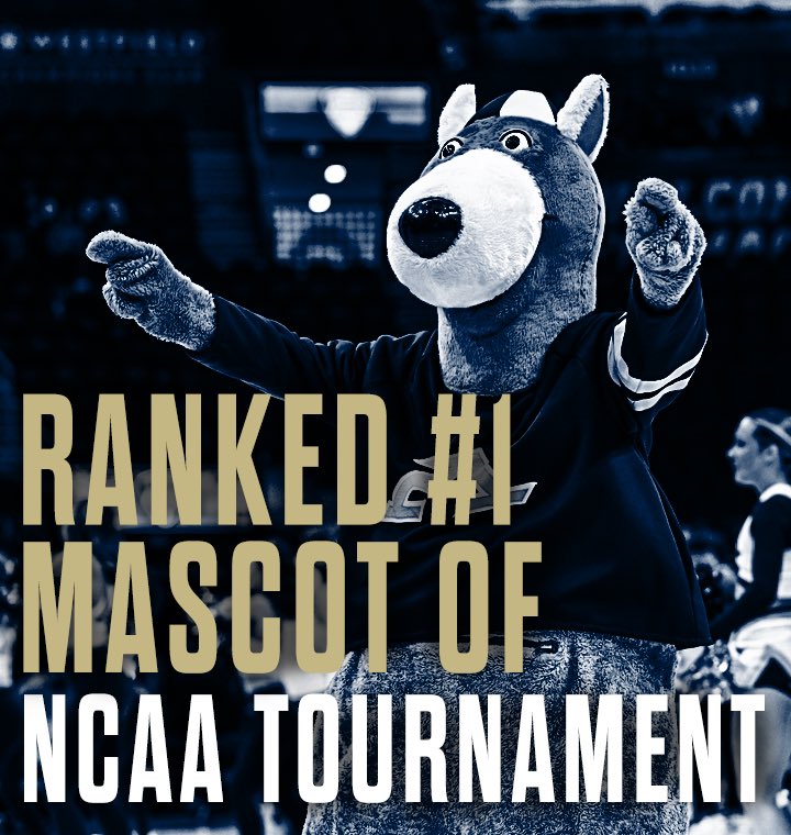 THE👏PEOPLE👏HAVE👏SPOKEN📣 According to @SInow our girl outranked every Mascot in the 2024 NCAA Tournament Field 🥹🏆🦘 #GoZips l 🏀🦘