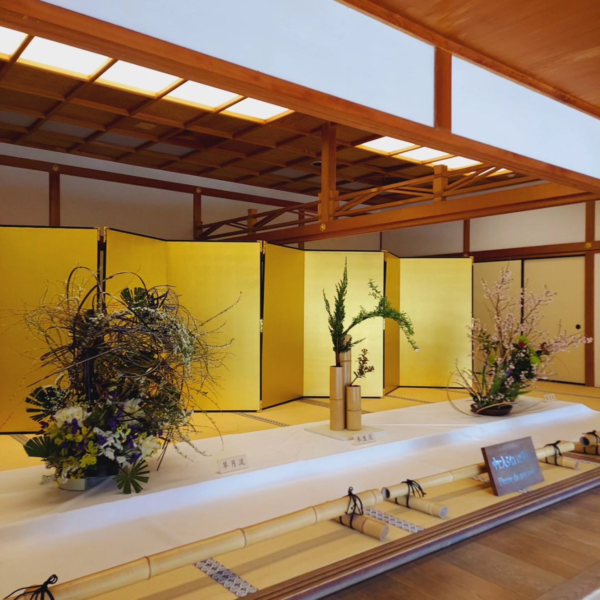 本日3月19日(火)～24日(日)まで【いけばな展】を開催しております。 14流派の作品を、正面玄関、活水軒前ロビー、潮音斎に展示しております。 是非、ご覧くださいませ。 #いけばな #ikebanaart #華道 #japaneseculture #好古園 #kokoen #日本庭園 #japanesegarden #姫路 #himejicatsle