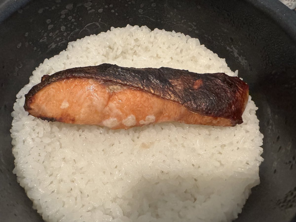 mococo321's tweet photo. こんな感じで炊けたご飯の上に焼いた鮭をドンっ！と乗せてあとは混ぜ混ぜするだけで簡鮭ご飯の完成！

鮭は体を温め、胃腸の調子を整えてくれます。

気血も優しく補って、巡らせてくれるので冷え性、お疲れなどほんとにオススメの食材。

個人的には「迷ったら鮭！」くらい万能。 https://t.co/t9DXnZu5o8