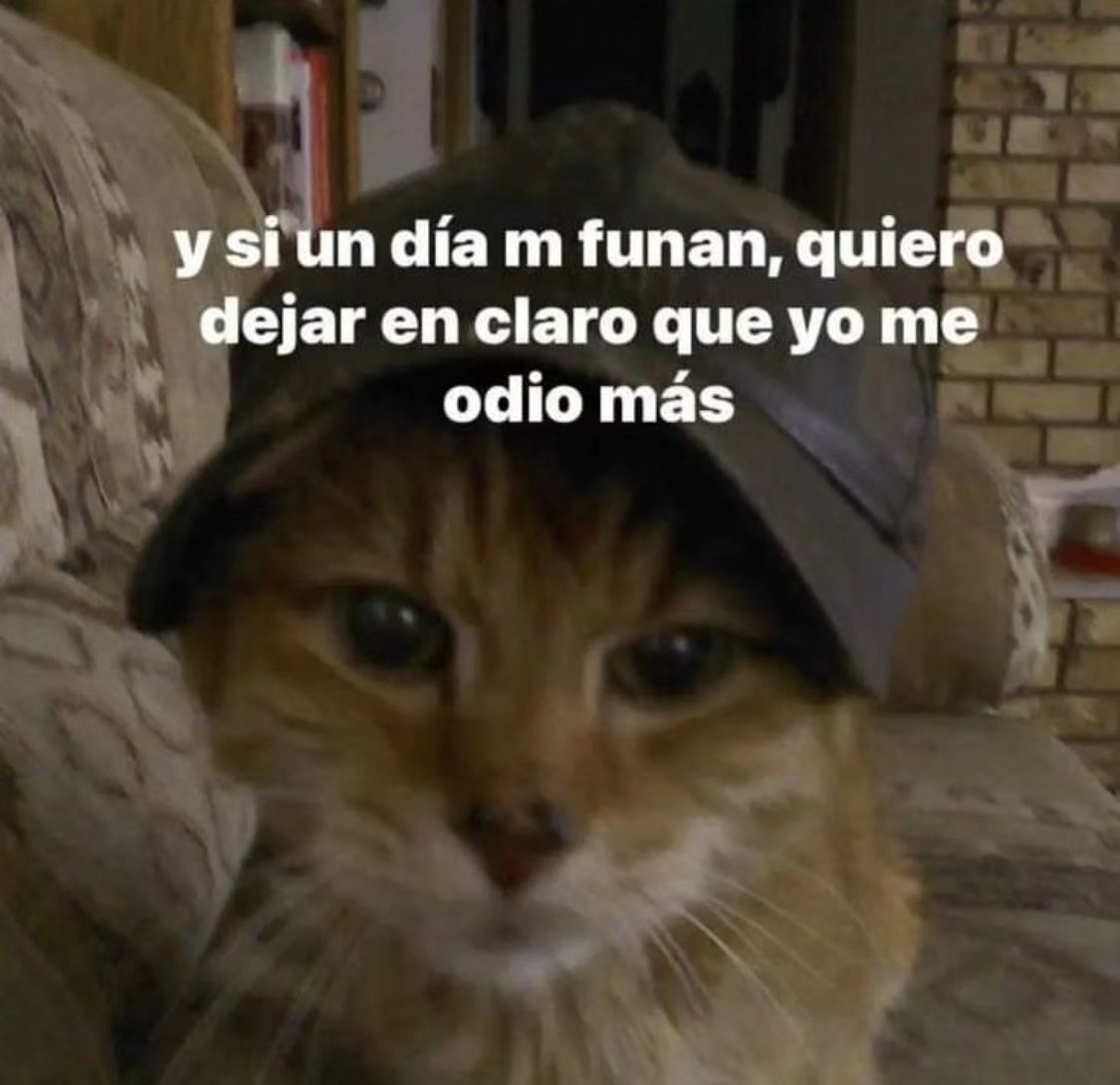 TheNorthMenz's tweet photo. Eso no más le digo yo…🥹
#Infunable https://t.co/pnGkiuSVqD