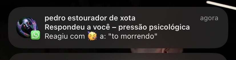 lari (@larielevi) on Twitter photo 