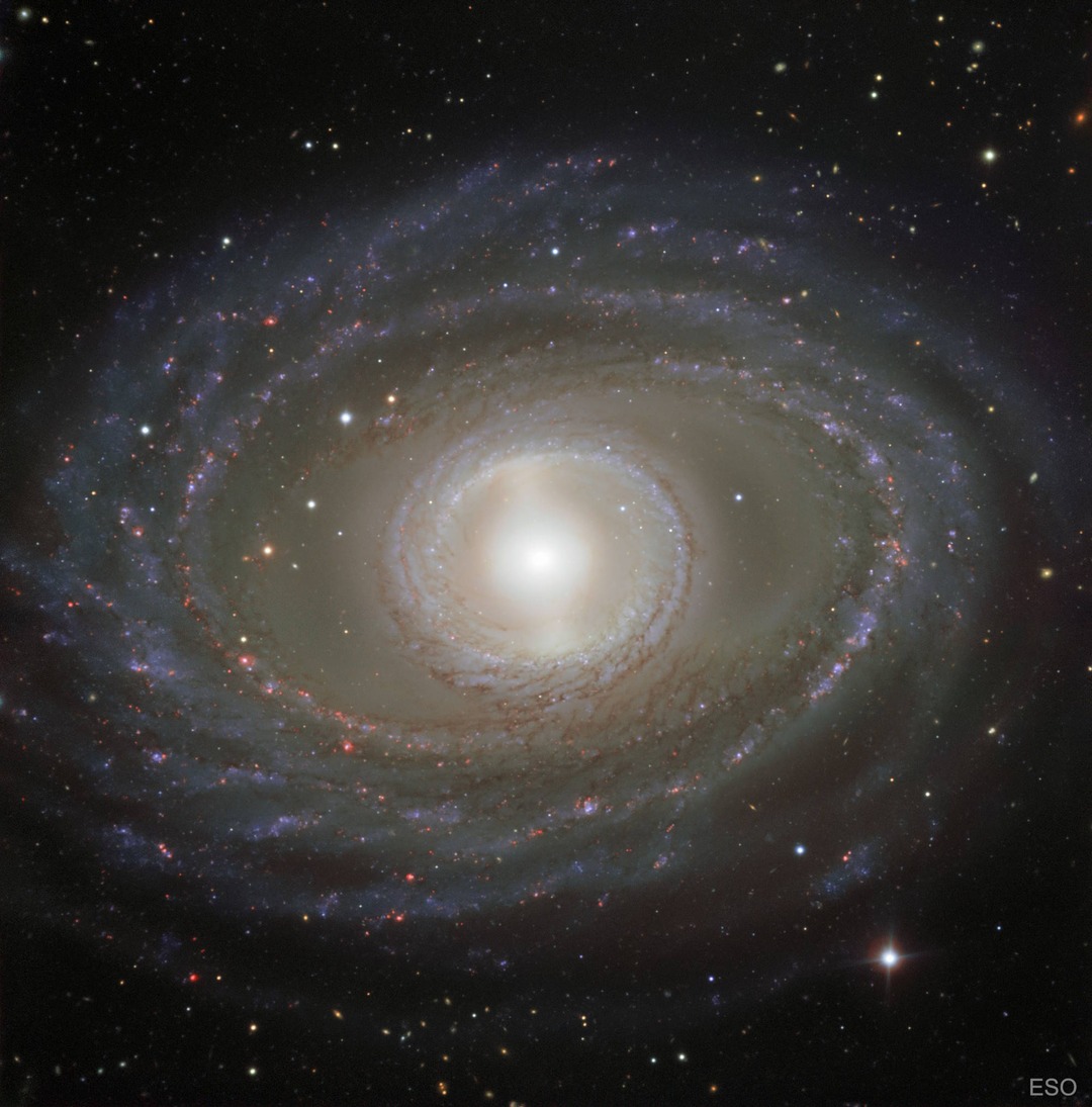 alex_riveiro's tweet photo. NGC 1398 es una bonita galaxia espiral de gran diseño (llamada así por lo bien definidos que están sus brazos), que está a 65 millones de años-luz de la Vía Láctea. Es decir, la luz que vemos hoy comenzó su viaje cuando los dinosaurios desaparecían... #FelizMartes https://t.co/sY0ooAV0T1