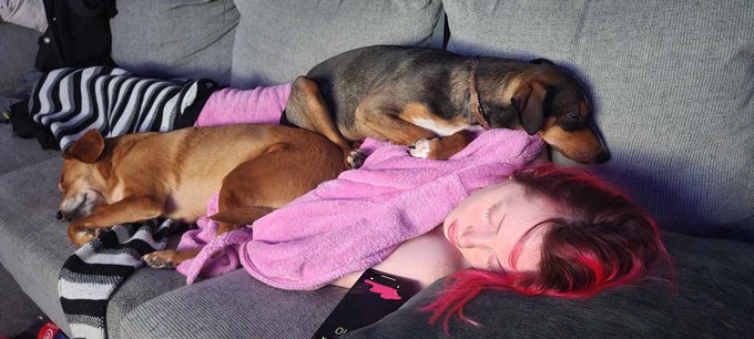 how me and my gang sleeps https://t.co/O7Nos33Ibp