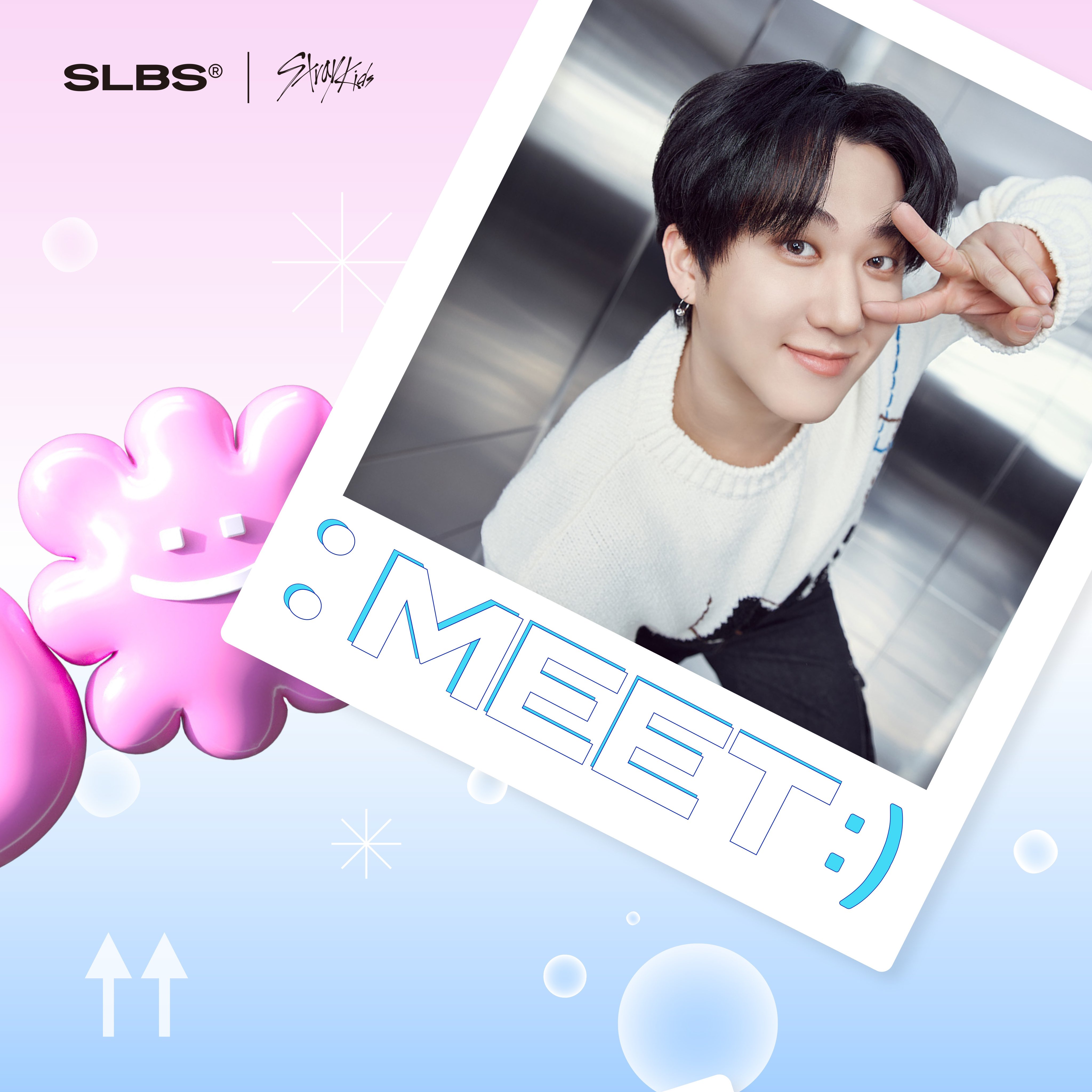 アイドル GalaxyZFlip5 straykids accessory edition SKZOO Samsung Galaxy Z Flip5 Flip Suit CASE SET with