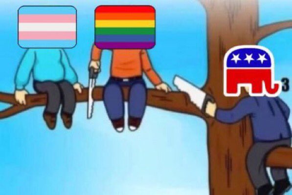 Every “LGB without the TQ” person is just this meme lol. Conservatives will never pick them, but they’ve really deluded themselves into thinking they will