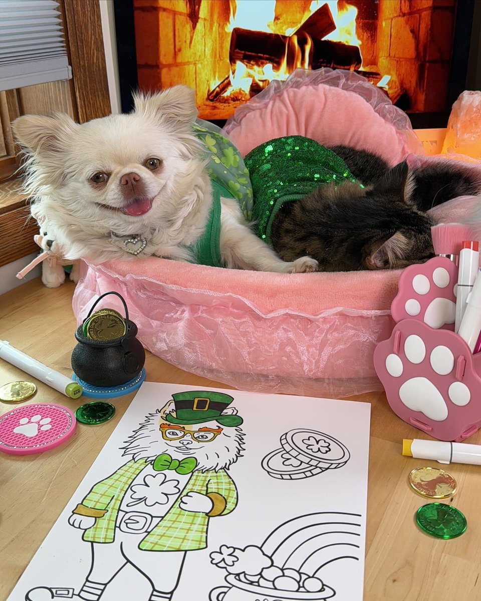 Gizmo & Starleena made Tuxley & Snookums' 1st St. Patrick's Day special! We even colored Gizmo as a leprechaun! Interested in our coloring books? Check out the link below. The Furry Kiddos had a furtastic St. Pawtrick’s Day—hope you did too! 🍀🎨💚 Link: jahnnalee.com/shop