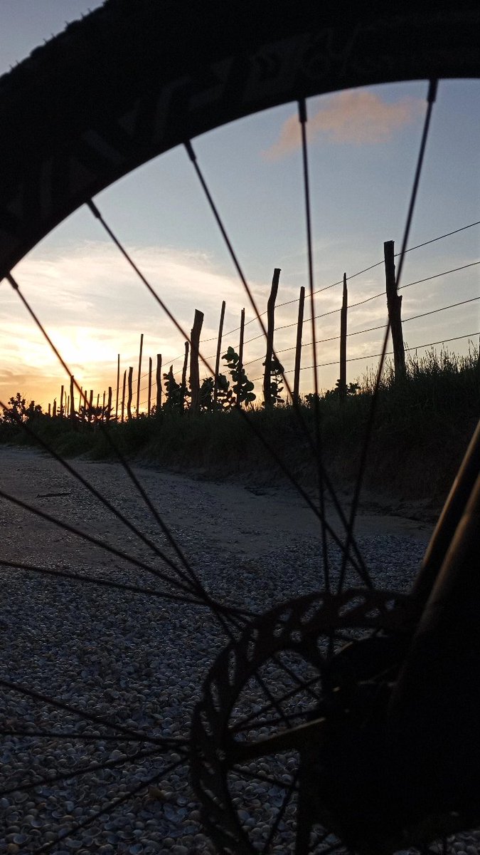 meninokodo's tweet photo. Eaí Twitter, pra quem não sabe eu to viajando de bike pelo litoral do NE, comecei por Salvador-Ba e vou até São Luís-Ma!
Vou tentar mostrar pra vcs por aqui e vou deixar também minha chave pix pra quem puder me ajudar a completar esse giro, se tiver de baixa rt 😉
+5563981027486 https://t.co/KGK6XWqnxR