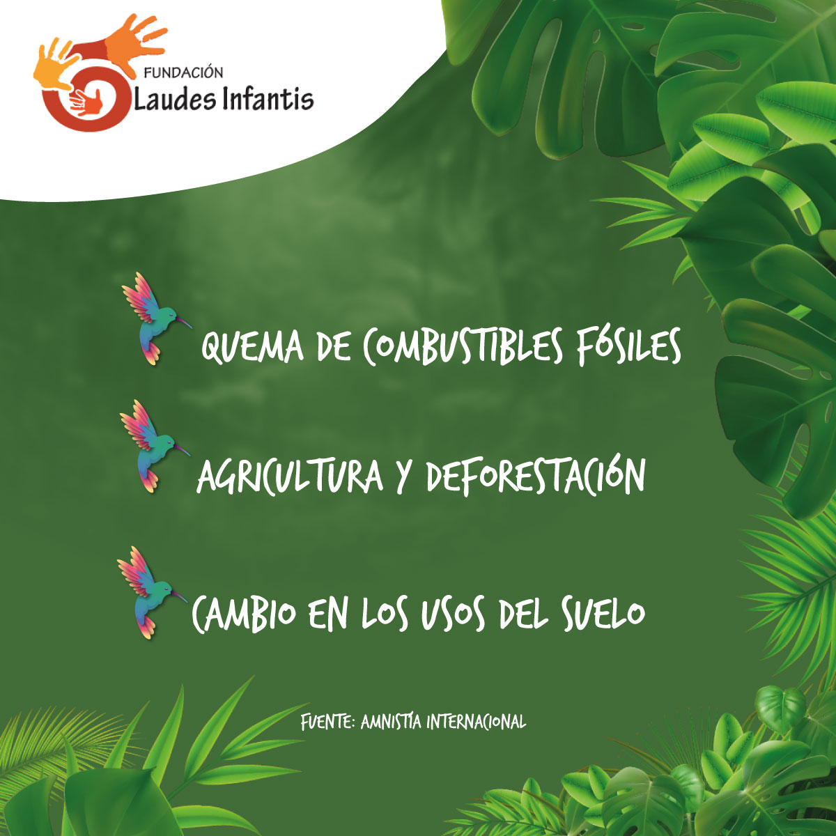 🌎🔥 ¿Qué causa el cambio climático? 🔥🌎

- Quema de Combustibles Fósiles
- Agricultura y Deforestación
- Cambios en los Usos del Suelo

Recuerda que cada pequeña acción cuenta. 

#TruequeAmbiental #CambioClimático #CombustiblesFósiles #AgriculturaSostenible #BosquesVerdes