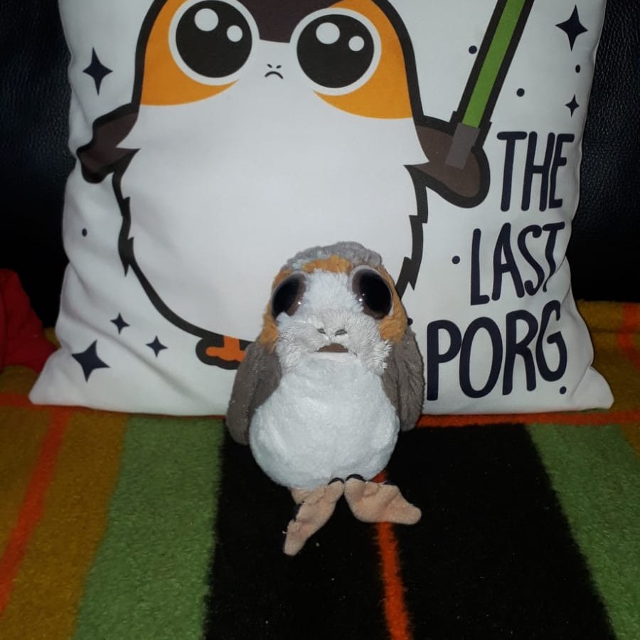 Moin moin! Attention, my friends! This week is the week of the Golden Fritzis 2024. I will post my Flop 9 (Wednesday), my Honourable Mentions (Frrday), and my Top 9 (Sunday) this week. Of course you can also join. Let me know about your movie year! 😁 #porg #porgs #PorgeanEmpire